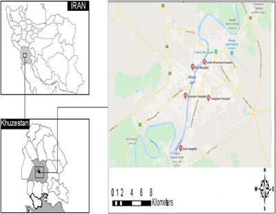 Association of the efficiency of hemodialysis instruments in the removal of microbial and chemical pollutant